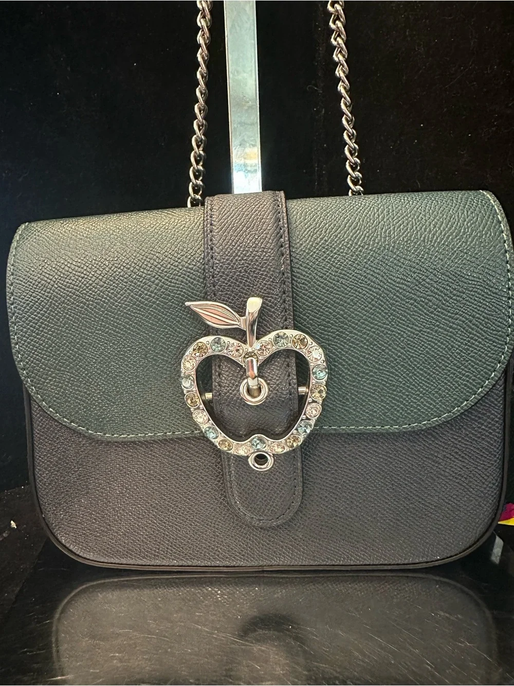Coach #271 Gemma Crossbody  Bag  in Colorblock  with Crystal Apple 🍏 Buckle
